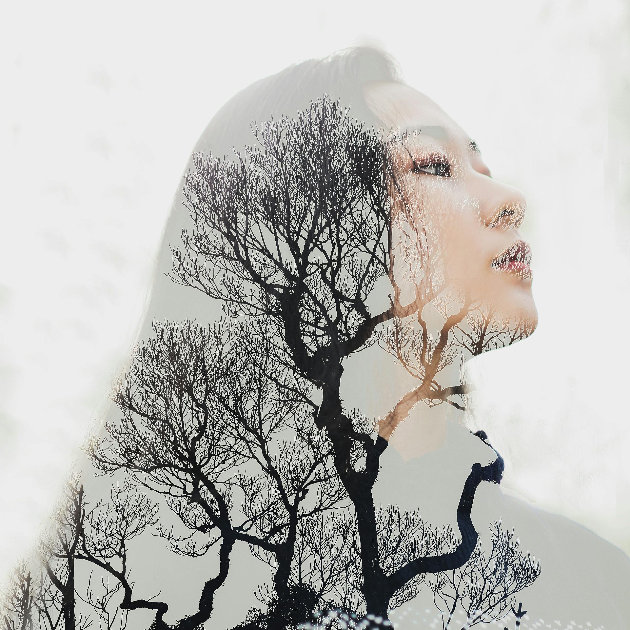 A creative double exposure featuring a woman and tree branches, blending nature and portrait art.